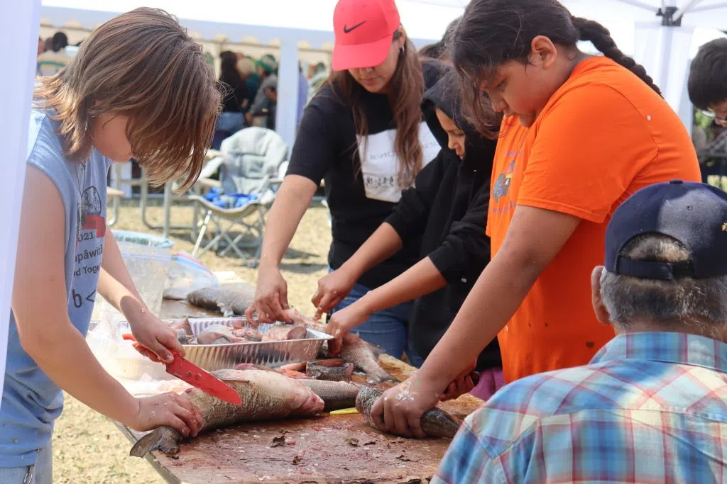 Youth preparing fish at the Achimowin Opaspiw Society Culture Camp (Photo Credits - Daniel Barker-Tremblay)