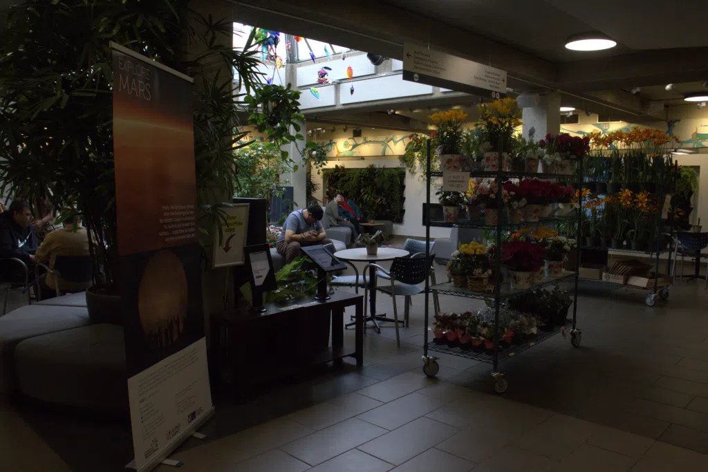 Mutart Conservatory (photo credits-Tristan Mathers)