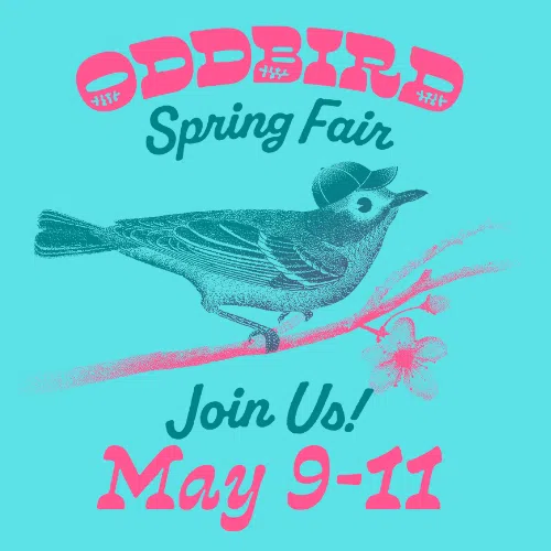 Oddbird Spring Fair