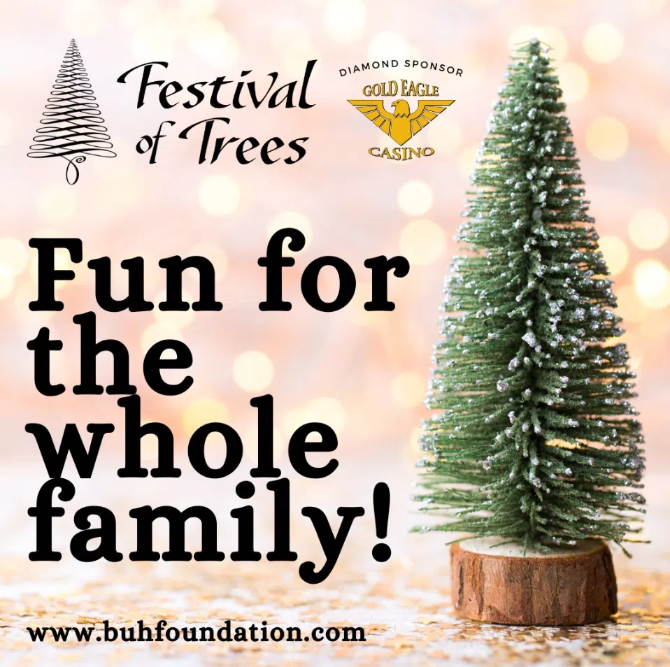 BUH Foundation Festival of Trees 2023 93.3 Beach Radio