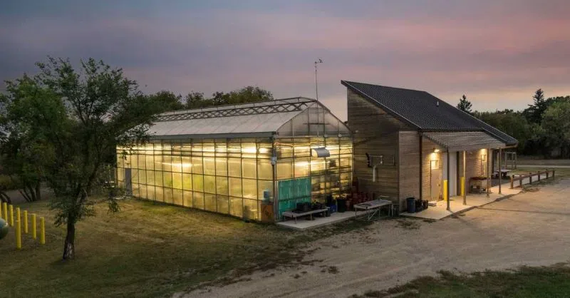 Assiniboine College To Expand North Hill Campus Greenhouse Facility 