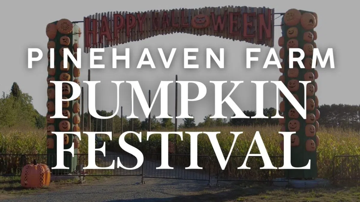 Halloween Thrills and Pumpkin Delights at Pinehaven Farm’s Pumpkin ...