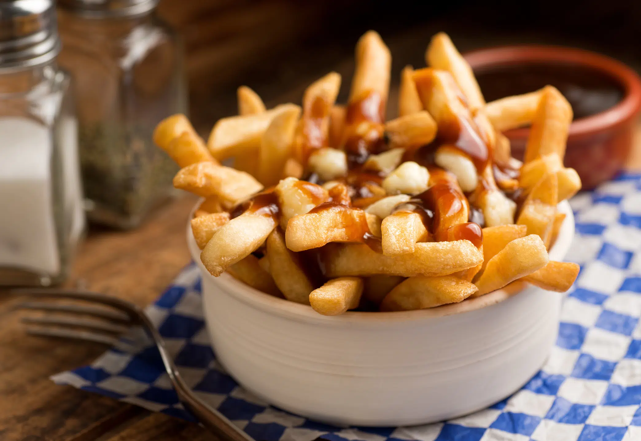 Canada's best 5 poutines...if you can call them that