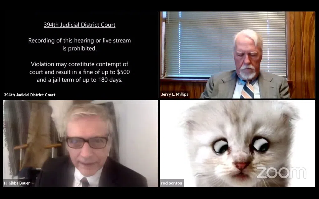 "I'm not a cat" - Lawyers Zoom call fail