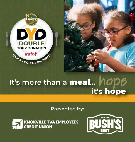 !!DYD'24 DF new sponsors!!