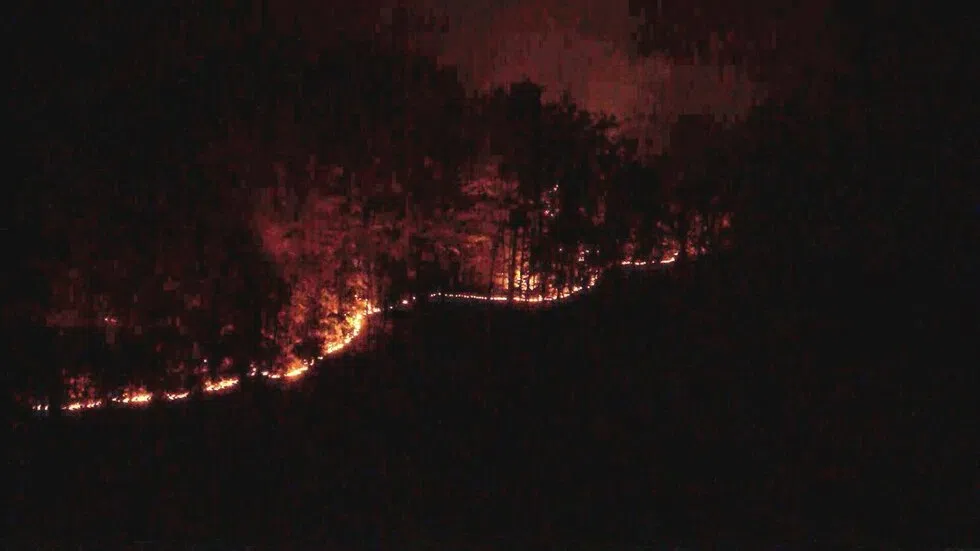 Multiple crews responded to brush fires in Anderson County Saturday afternoon