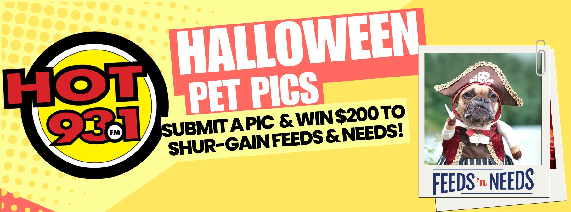 Halloween Pet Pics