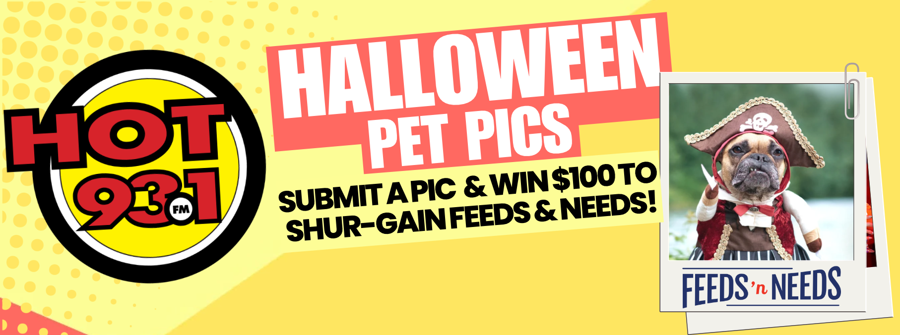 Halloween Pet Pics