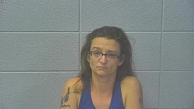 Lawrenceville Woman Pleads Guilty to Meth Dealing Charge in Dubois Co.