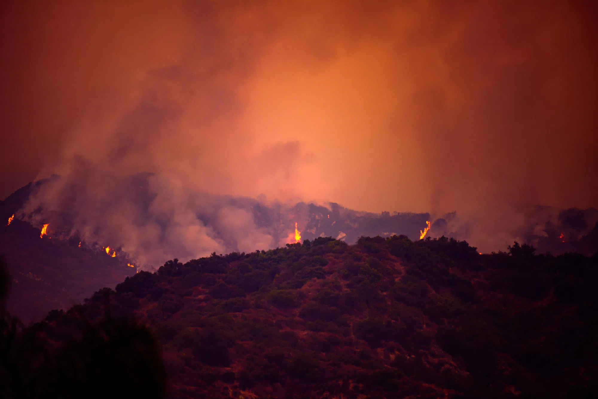 World Watching As Some Los Angeles Neighbourhoods Burn