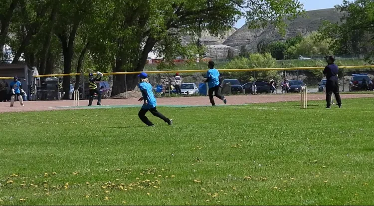 Cricket On Display Again This Year In The Drumheller Valley