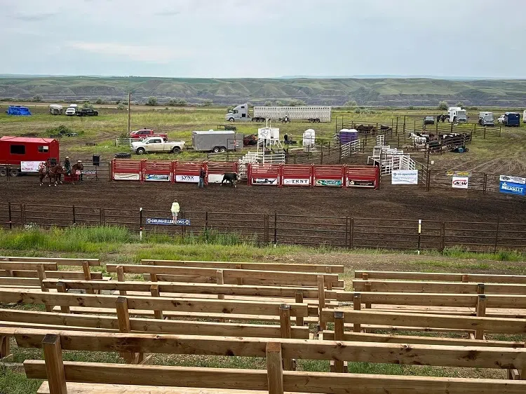 Even With The Rain, Dino Days Stampede A Success