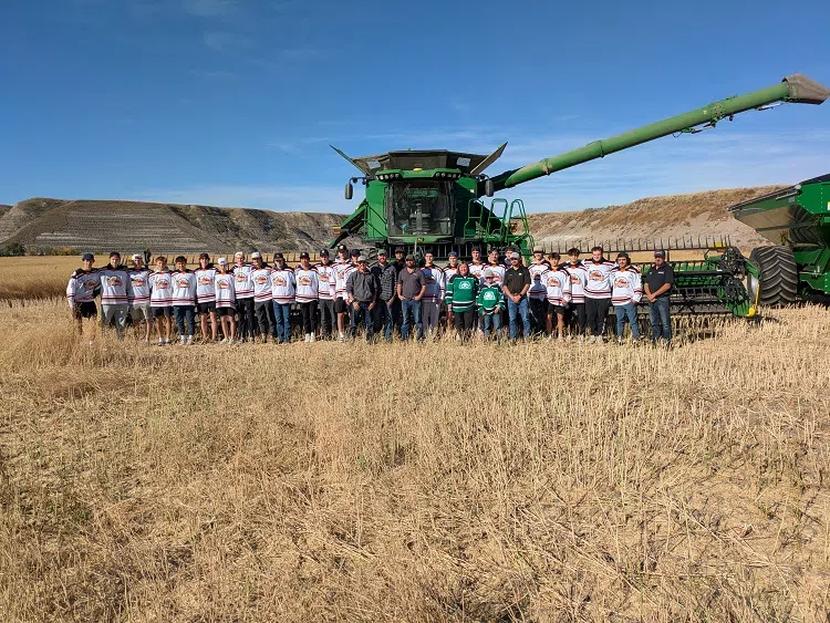 Field Of Dreams Harvest Under Way