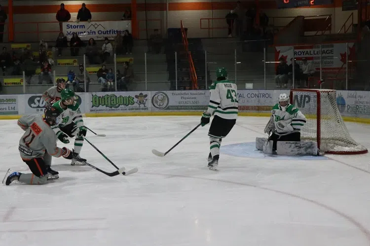 Teddys Fly At The Memorial Arena