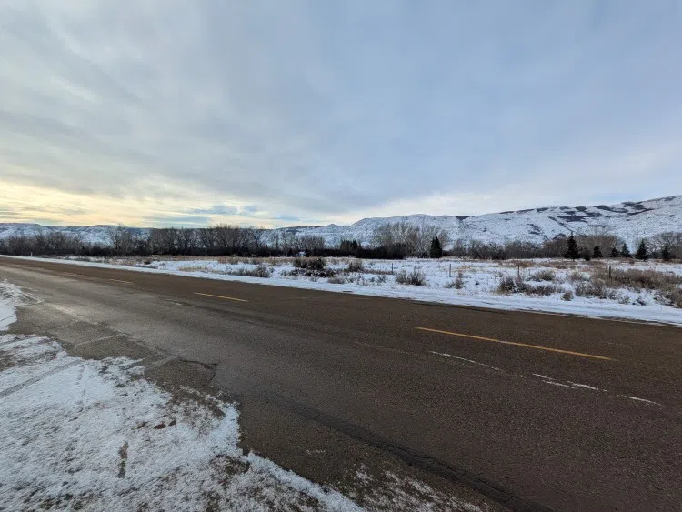Over A Thousand Trees To Be Planted In Lehigh