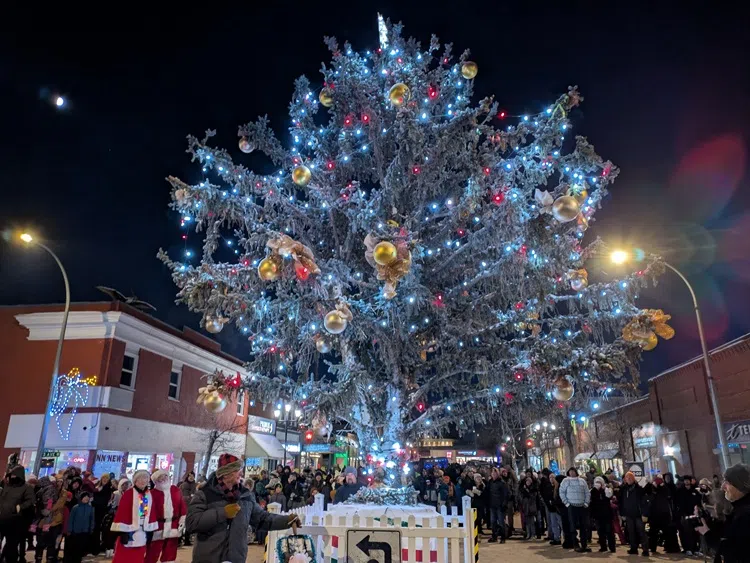 Cold Temperatures Didn't Stop Festival Of Lights
