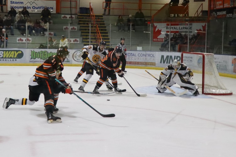Dragons Defeat Grizzlys At Home