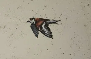 keller-animal-graffitti-3