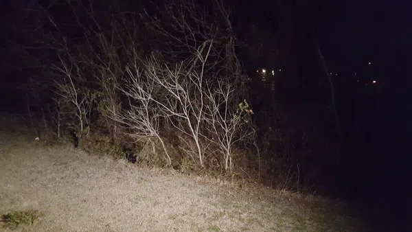 This is where bones were found near a Plano school. Photo courtesy of WFAA TV