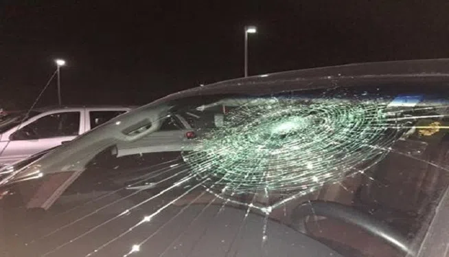 14079980_10154432105329509_584305783797188553_n