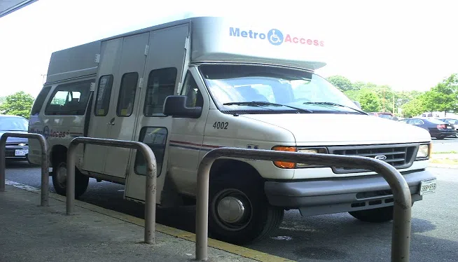 My beautiful picture