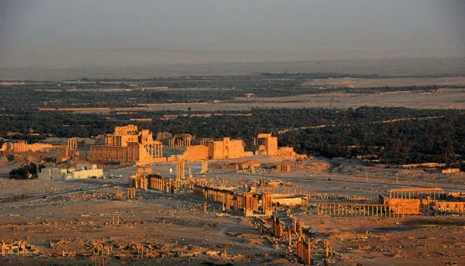 palmyra
