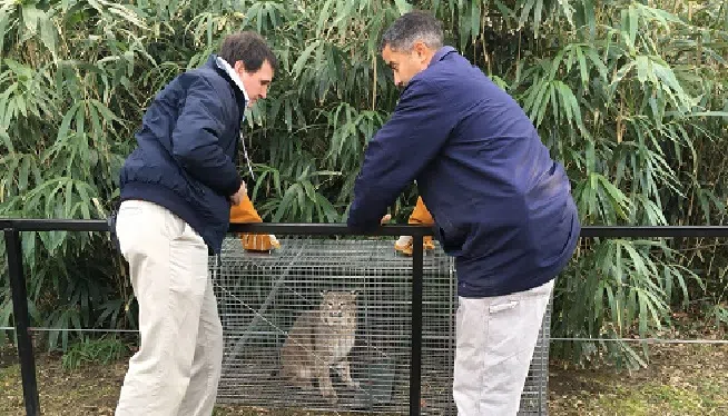 16423127_10154944827567902_8403235522405671526_o