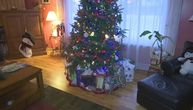 Nine-year-old Kaylee Green told her parents she didn't want any gifts for Christmas. She wants to put the money towards putting gifts under the tree of a family in need. Embargoed to Flint, MI