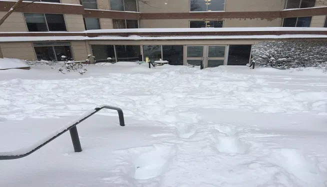 Snow in Silver Spring, MD