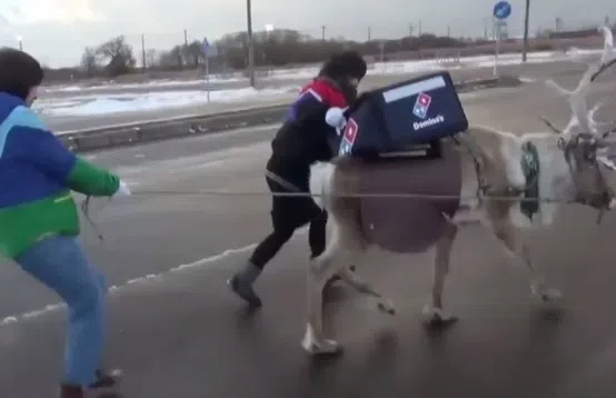 dominos-1