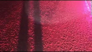 screen-shot-2017-01-19-at-3-53