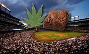 pot-brownies-marijuana