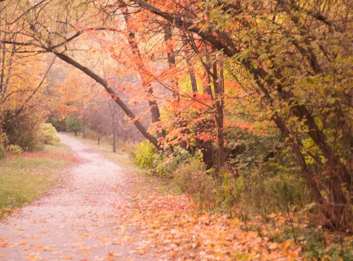 toronto bike trails