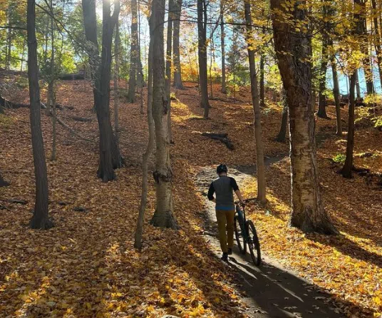 toronto bike trails