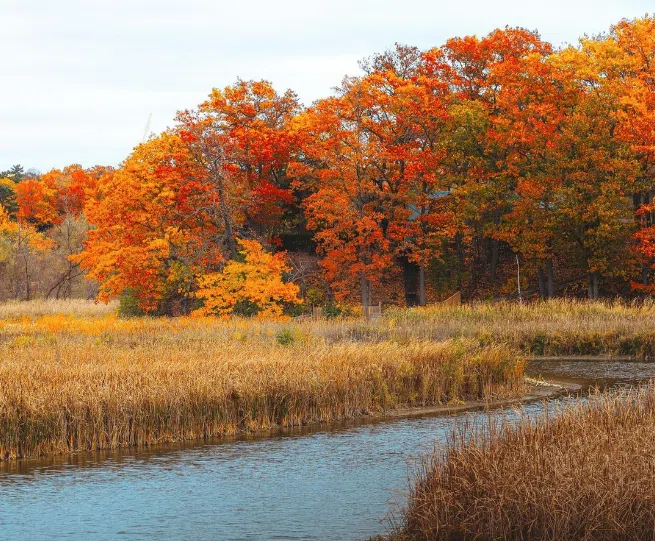 best conservation areas near toronto