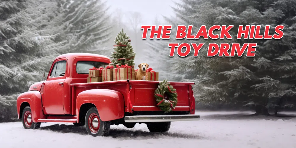 Feature: https://www.kotaradio.com/black-hills-toy-drive/