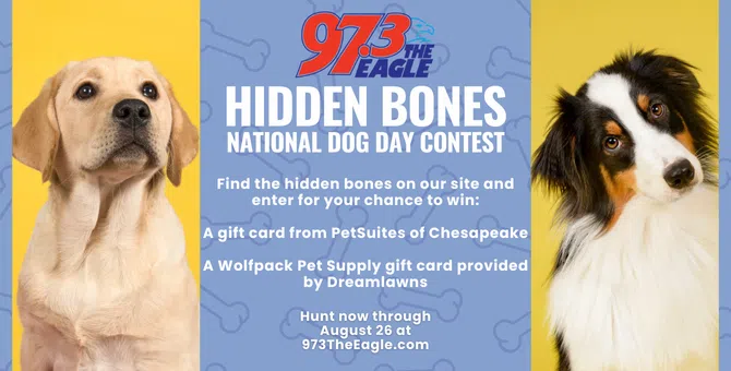 Hidden Bones – National Dog Day Contest banner