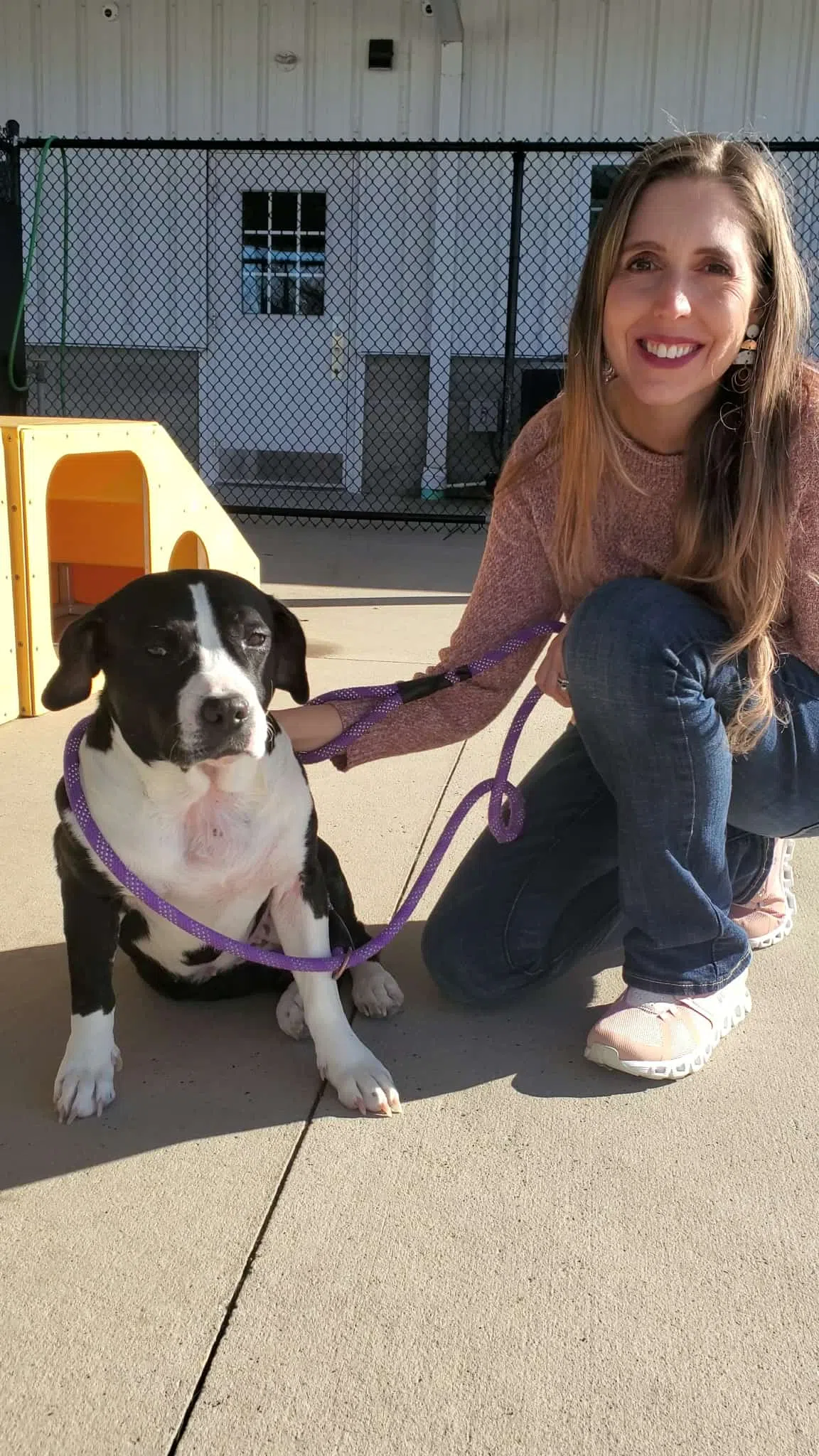 Black and white dog sits next to blonde woman wearing a pink sweater and jeans
