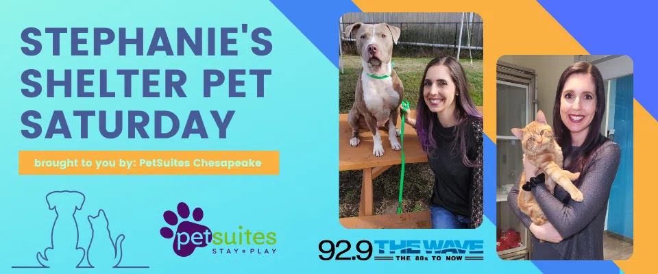 Stephanie's Shelter Pet Saturday