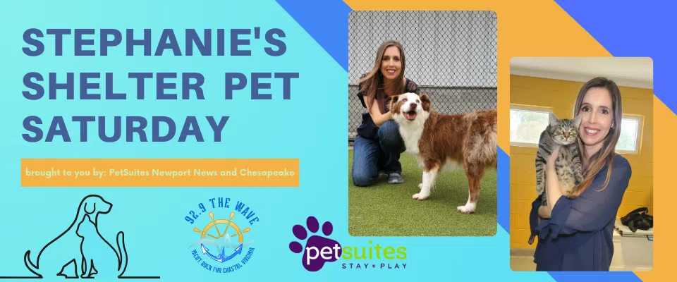 Stephanie's Shelter Pet Saturday