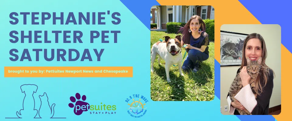 Feature: https://www.929thewave.com/stephanie-taylor/