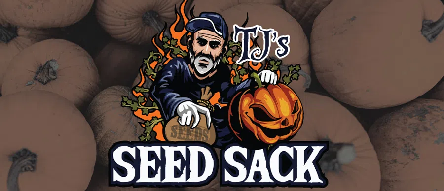 Feature: https://seed