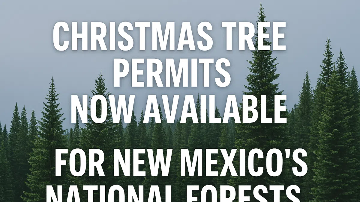 Christmas Tree Permits Now Available for New Mexico’s National Forests