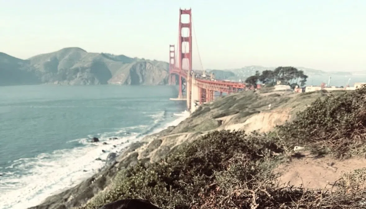 APD Officer and K9 Head Back to New Mexico After Assisting With Super Bowl Security