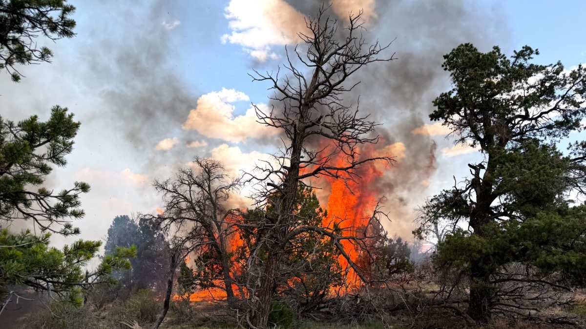 Prescribed Burn Planned in Manzanita Mountains
