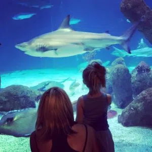 BIOPARK 9