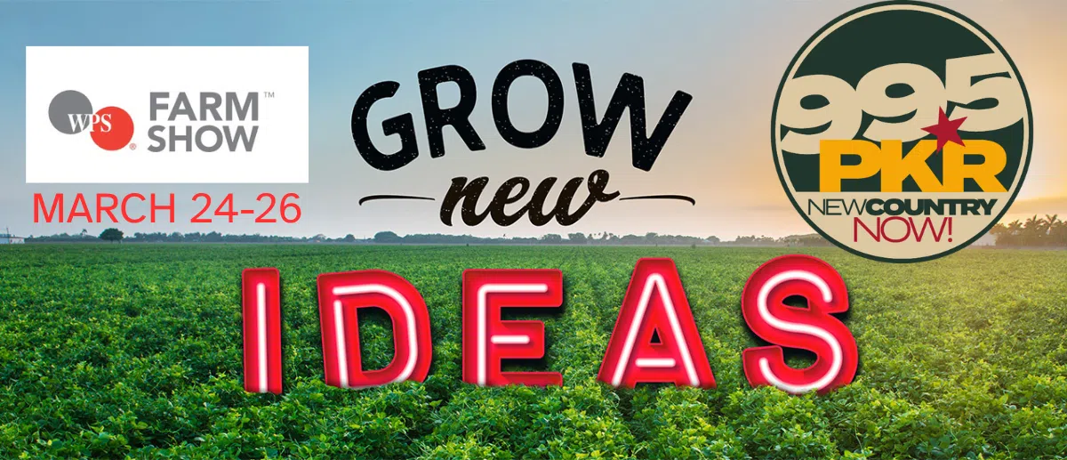 Feature: https://www.995pkr.com/events/535347/