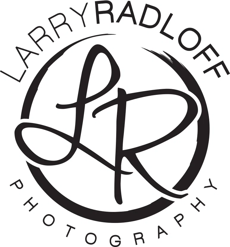Larry Logo 2