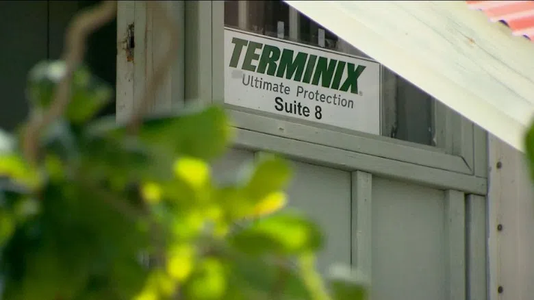 150410180558-terminix-pesticide-virgin-islands-ganim-lead-pkg-04-10-jpg-exlarge-169