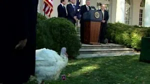 151123121630-history-of-the-white-house-turkey-pardon-origwx-bw-00000000-exlarge-tease